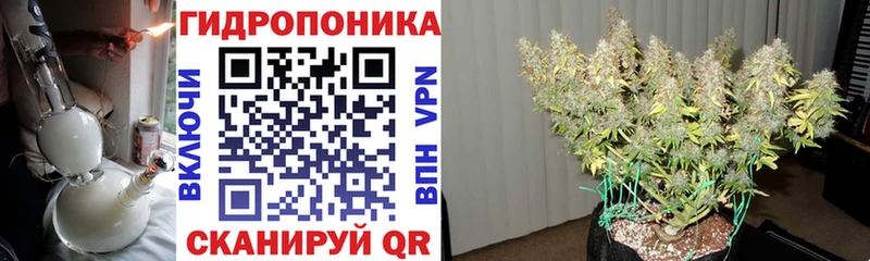 Купить  Болохово  МАРИХУАНА сатива 